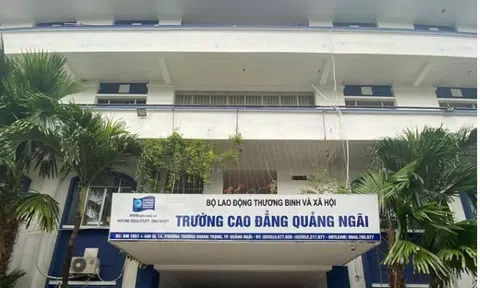 Trường Cao đẳng Quảng Ngãi và nhiều doanh nghiệp tại Quảng Ngãi nợ thuế hơn 296 tỷ đồng