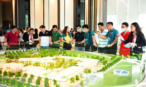 TP.HCM siết chặt kiểm tra hoạt động môi giới bất động sản