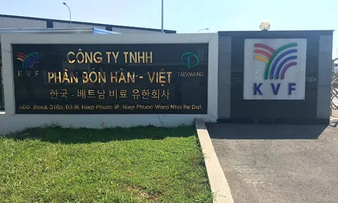 Lỗ nhiều năm, biên lợi nhuận thấp: Phân bón Hàn - Việt bị đưa vào kế hoạch kiểm tra thuế