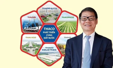 Vì sao doanh nghiệp trong hệ sinh thái Trần Bá Dương lọt diện kiểm tra thuế?