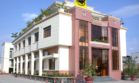 Phân bón Bình Điền tiếp tục vướng sai phạm thuế, chuyện gì đang xảy ra?