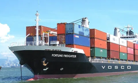 Điều gì khiến Vosco lọt danh sách 302 doanh nghiệp bị “soi” thuế?