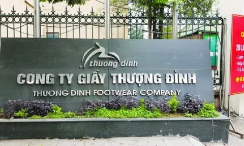 Vì sao Giầy Thượng Đình vẫn “đánh cược” vào dự án lớn khi tài chính suy yếu?
