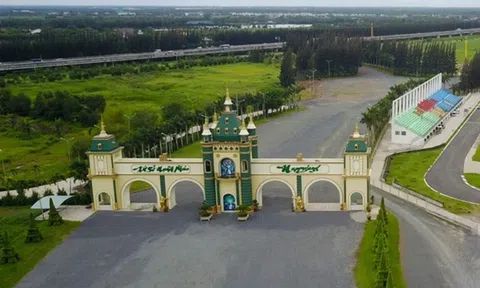 Điều gì khiến tài sản của Khang Thông và Phú An bị “đóng băng”?