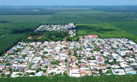 TP.HCM công bố loạt dự án khu công nghiệp quy mô lớn, có dự án tới 1.200 ha