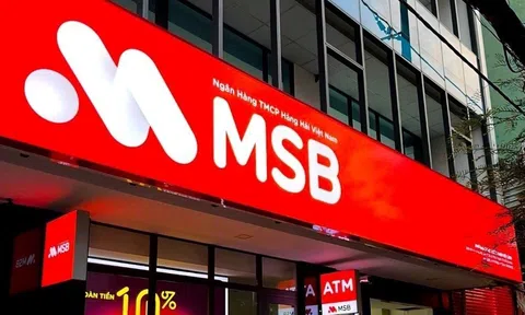 MSB kinh doanh ra sao trước khi bị đưa vào kế hoạch kiểm tra của Cục Thuế?