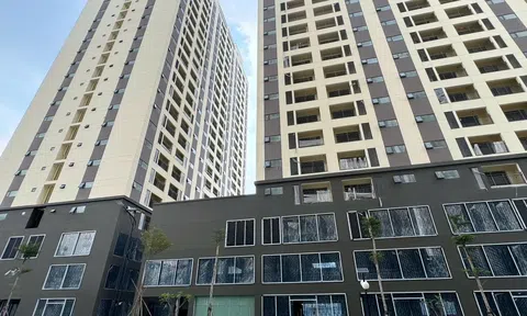 “Loạn” thông tin rao bán nhà ở xã hội 324 Lý Thường Kiệt, chủ đầu tư cảnh báo không nhận đặt cọc