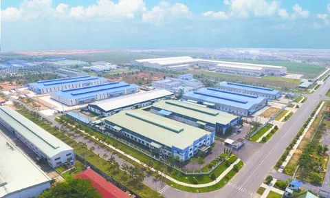 Sonadezi Giang Điền được giao thêm đất nhưng vì sao vẫn “lùi bước” kế hoạch lợi nhuận?