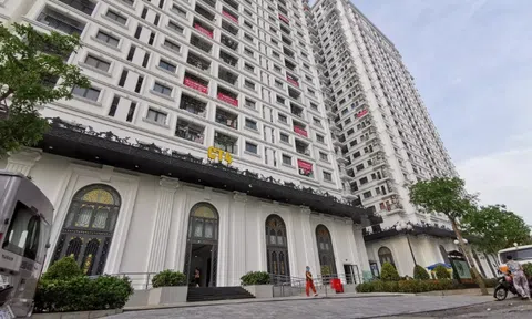 Dự án Iris Garden đang vướng những nội dung gì mà Vimedimex phải lên tiếng?