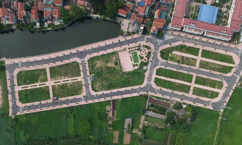 Bỏ cọc đấu giá đất bị cấm tham gia trong 5 năm