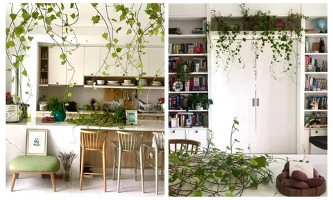 Những "thú chơi" tại nhà giết thời gian mùa giãn cách