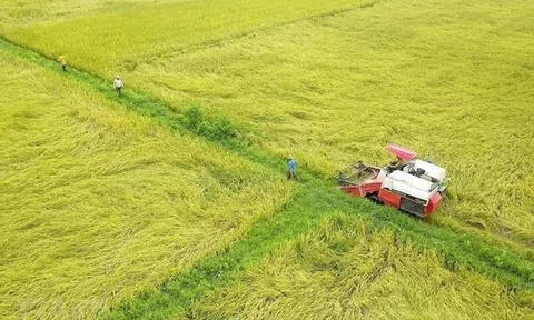 LUK là đất gì? Đất LUK có lên thổ cư được không?
