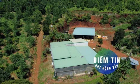 Điểm tin bất động sản 16/9: Xem xét thu hồi hàng trăm sổ đỏ cấp sai ở Tà Đùng
