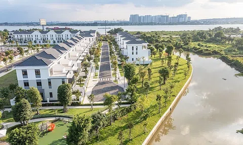 Tổ công tác của Chính phủ làm việc với Đồng Nai để gỡ vướng các dự án bất động sản