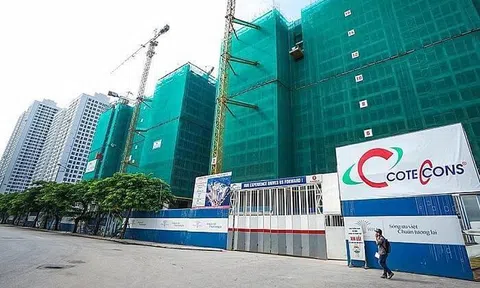 Coteccons mua hai doanh nghiệp nhôm kính và cơ điện