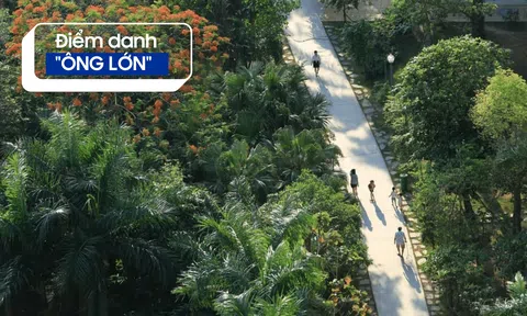 Điểm danh 'ông lớn': Vì sao ai cũng nên đến Ecopark một lần trong đời?