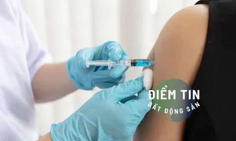 Điểm tin bất động sản 12/7: Bà Rịa Vũng Tàu cưỡng chế phân lô bán nền trái phép