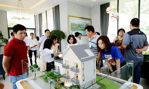 5 cách tối ưu hoá tiền lương để có vốn đầu tư