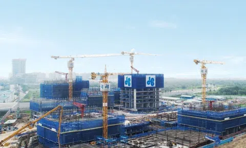 Doanh nghiệp lạc quan với thị trường năm Nhâm Dần