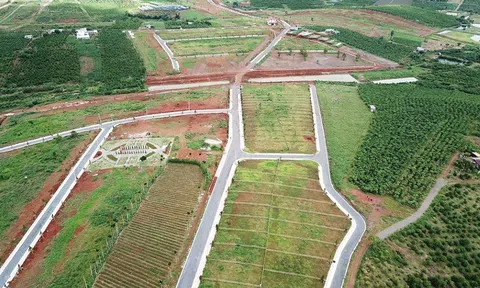 Lâm Đồng dừng cho phân lô, tách thửa