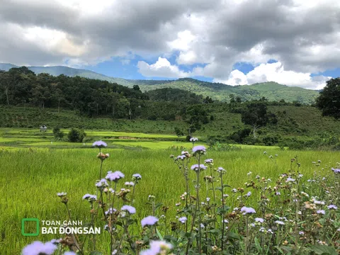 Đất mất 'duyên'