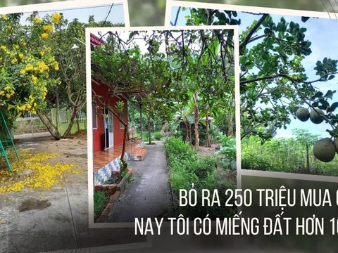 Tôi đi mua nhà: Bỏ ra 250 triệu mua chơi, nay tôi có miếng đất hơn 10 tỷ