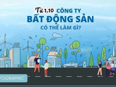 Từ 1-10 công ty bất động sản được làm gì?