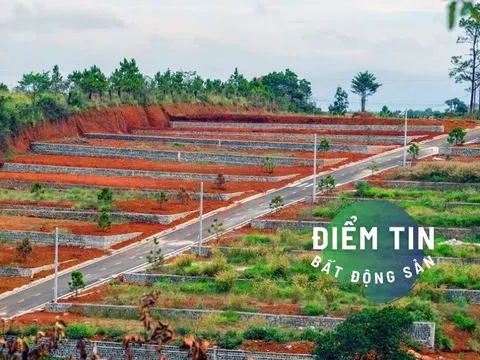 Điểm tin bất động sản 1/12: Dẹp nạn phân lô bán nền tràn lan tại Lâm Đồng