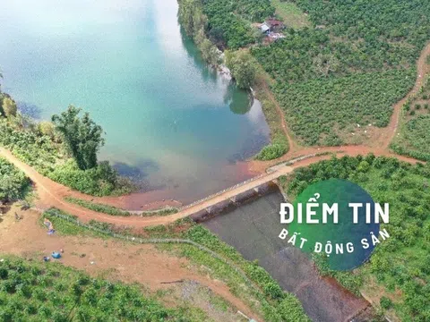 Điểm tin bất động sản 8/12: Lâm Đồng yêu cầu Bảo Lộc, Bảo Lâm báo cáo về tách thửa