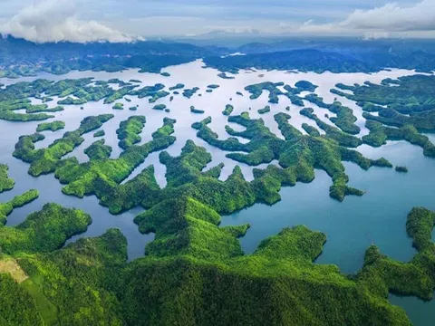 Tà Đùng - Từ đại ngàn hoang sơ thành ‘nàng thơ’ nghỉ dưỡng mới