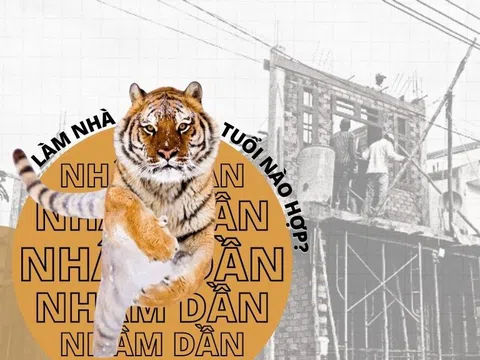 Những tuổi nào nên làm nhà, mua đất năm Nhâm Dần