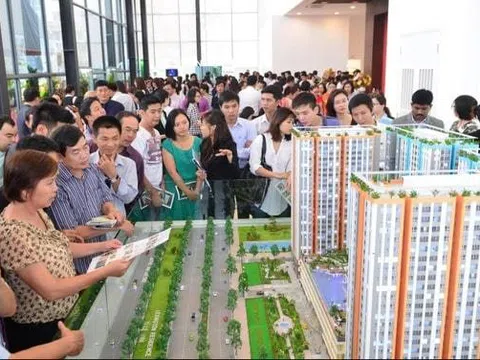Cần làm gì khi chủ đầu tư phá sản?
