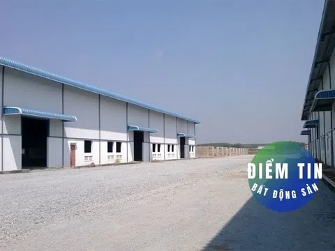 Điểm tin bất động sản 10/1: Bất động sản kho xưởng hạ nhiệt