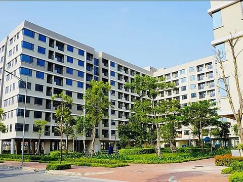 Nên mua nhà hay đầu tư chứng khoán khi trong tay có 600 triệu đồng?