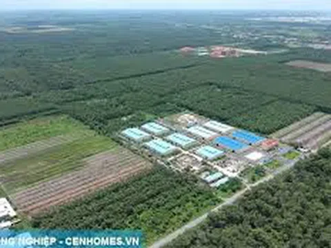 Chuyển đất trồng lúa sang đất ở trái phép sẽ bị phạt như thế nào?