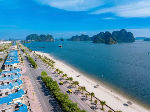 Không phải Hà Nội hay TP.HCM, đây mới là tỉnh có "làn sóng" tìm mua chung cư tăng mạnh nhất tới 516% khiến nhiều người ngỡ ngàng?