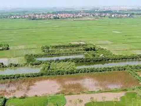 Những rủi ro tiềm ẩn khi mua đất không chính chủ?