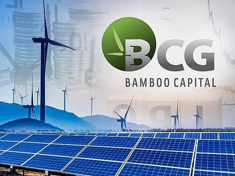 Bamboo Capital lên kế hoạch mua lại trước hạn lô trái phiếu trị giá 500 tỷ đồng