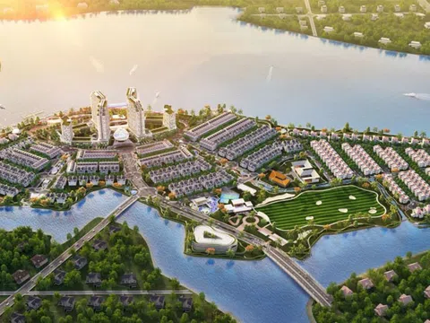 TTC Land chính thức sở hữu 100% dự án Cù Lao Tân Vạn sau khi đấu giá thành công