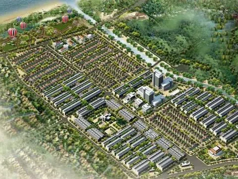 NTL lãi kỷ lục hơn 600 tỷ đồng, vượt xa kế hoạch năm 2024