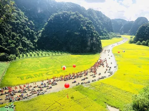 Ninh Bình thu hồi hơn 216 ha đất của 11 dự án chậm tiến độ