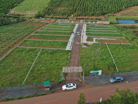 Đất nông nghiệp, đất vườn Lâm Đồng ồ ạt rao bán “cắt lỗ” tới 50%, nhà đầu tư tháo chạy