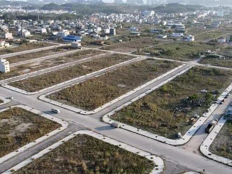 Vụ Bản, Trực Ninh (Nam Định) đấu giá 168 lô đất, giá từ 5,2 triệu đến 23,1 triệu đồng/m²