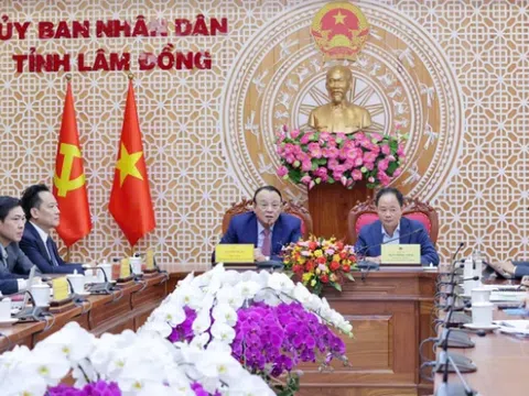 Lâm Đồng thu hút các nhà đầu tư lớn với loạt dự án quy mô hàng nghìn hectare, tiêu biểu là Tân Hoàng Minh và Hưng Thịnh