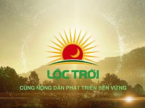 Lộc Trời chưa thể khắc phục hoàn toàn khủng hoảng dòng tiền từ đầu năm 2024