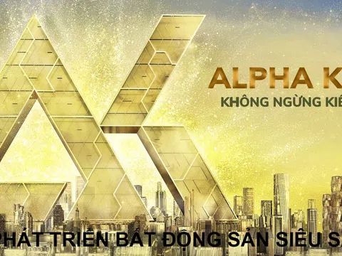 Alpha King bị cưỡng chế dừng làm thủ tục hải quan vì nợ thuế hơn 231 triệu đồng