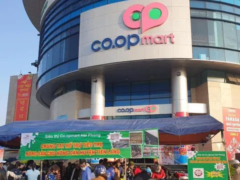 Thị trường bán lẻ chấn động: SaiGon Co.op bị cấm thầu vì vi phạm chất lượng hàng hóa