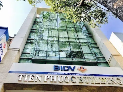 Tiến Phước bất ngờ lãi 452 tỷ, xóa sạch lỗ lũy kế sau nhiều năm thua lỗ