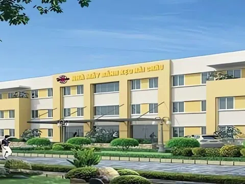 Bánh kẹo Hải Châu và loạt ‘ông lớn’ bất động sản bị gọi tên vì đất bỏ không