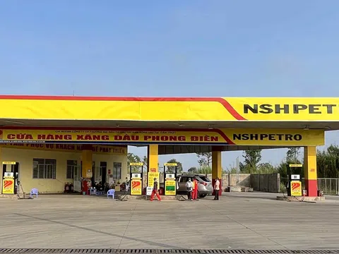 Dầu Khí Nam Sông Hậu bị xử phạt vì không công bố báo cáo tài chính